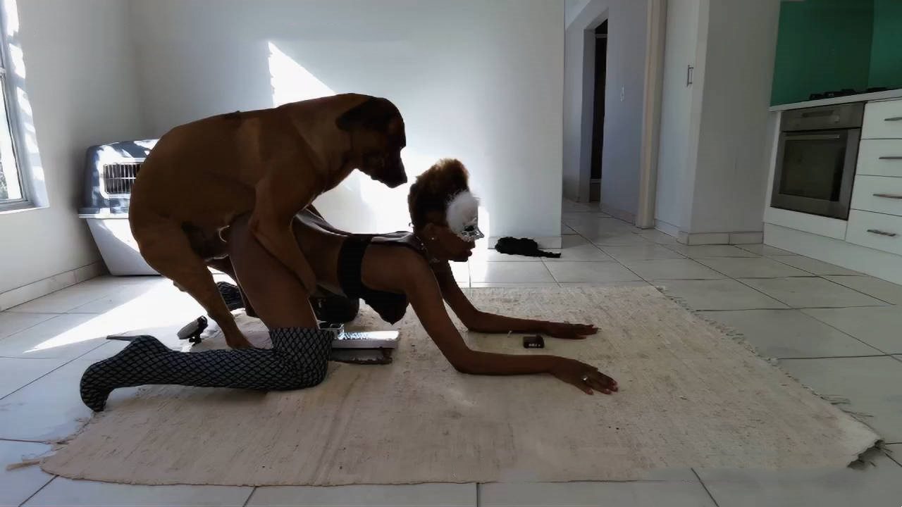 苗条黑妹跪趴在地上 狗子熟练的跳上了她的背