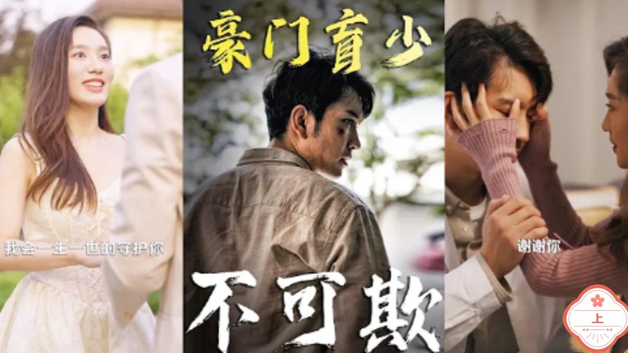 豪门盲少（上）