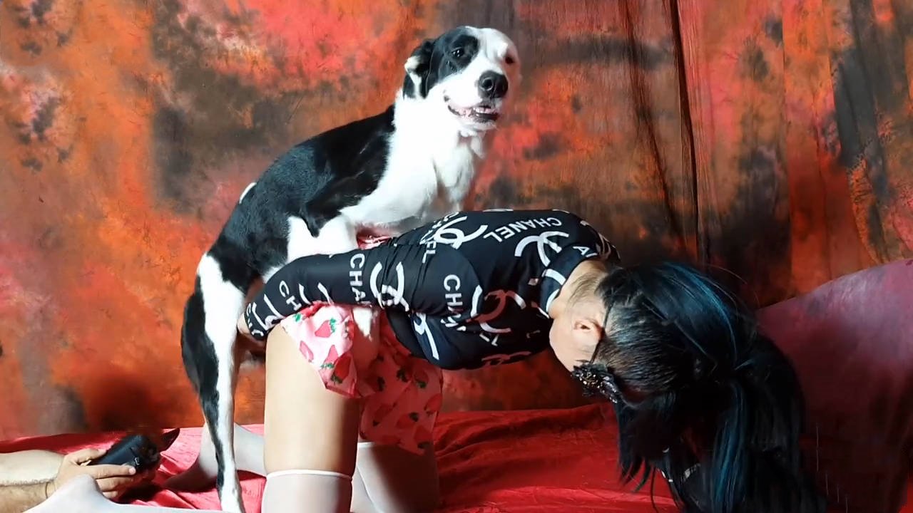 掀起粉色小裙子露出里面的骚逼 狗屌马上就硬了起来